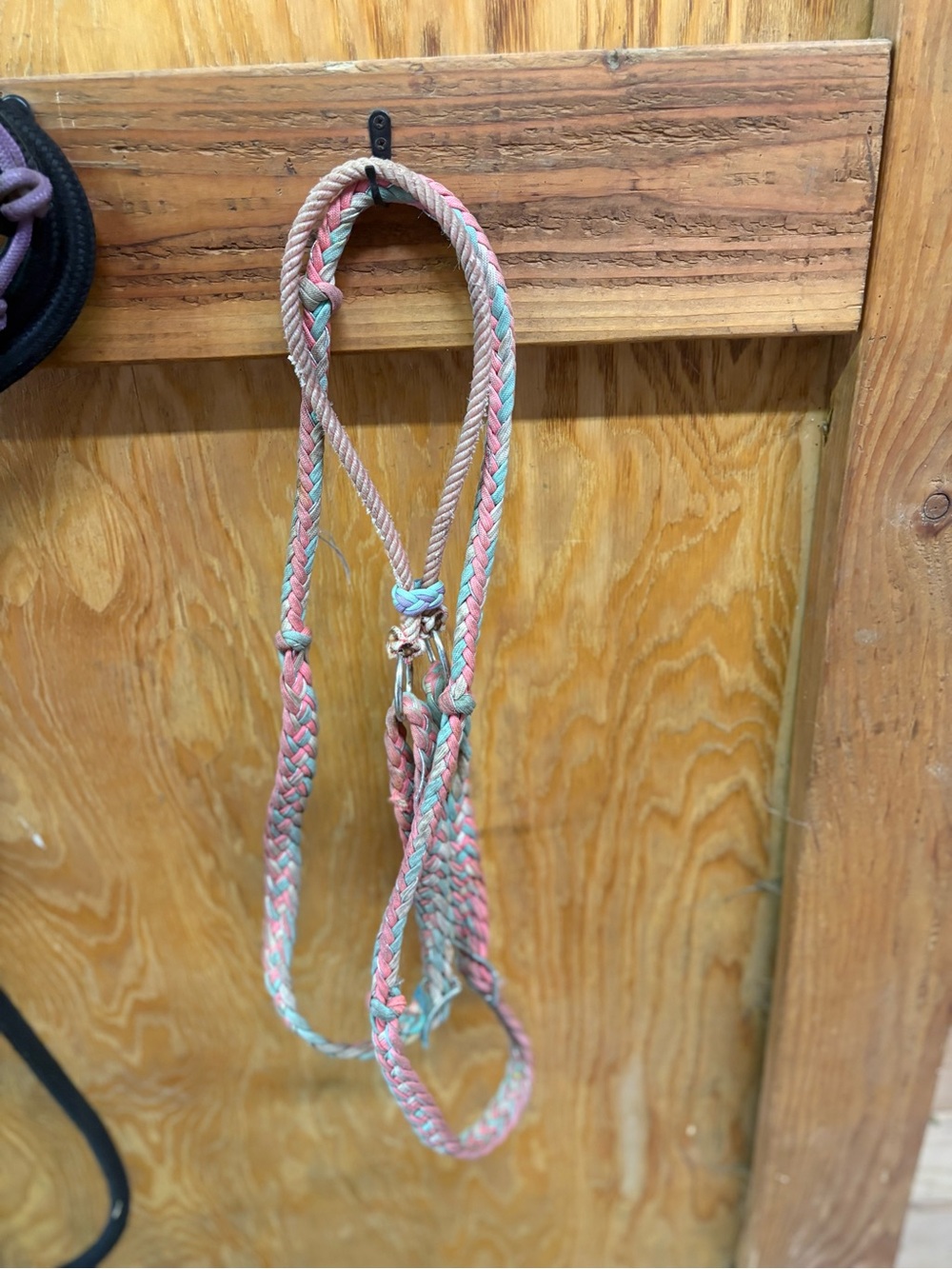 Braided Pink reins and lariat war bridle